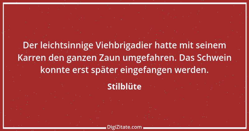 Zitat von Stilblüte 10