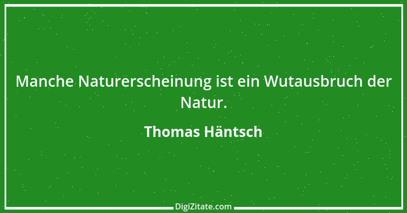 Zitat von Thomas Häntsch 242