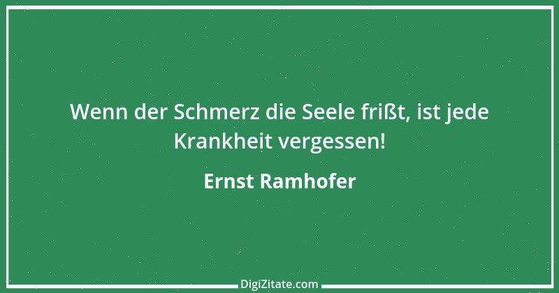 Zitat von Ernst Ramhofer 16