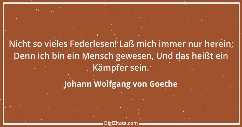 Zitat von Johann Wolfgang von Goethe 2668