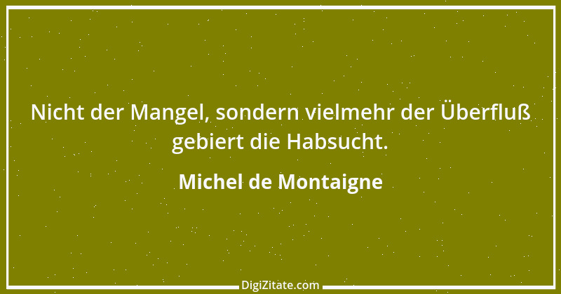 Zitat von Michel de Montaigne 356