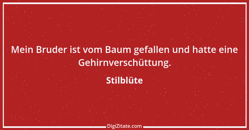 Zitat von Stilblüte 11