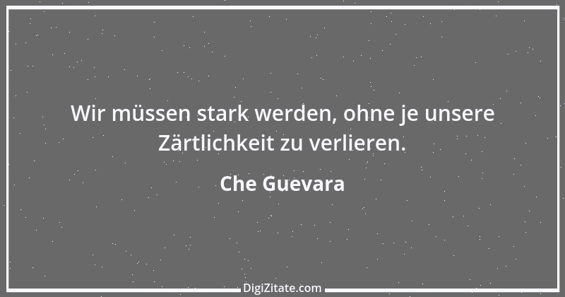 Zitat von Che Guevara 27