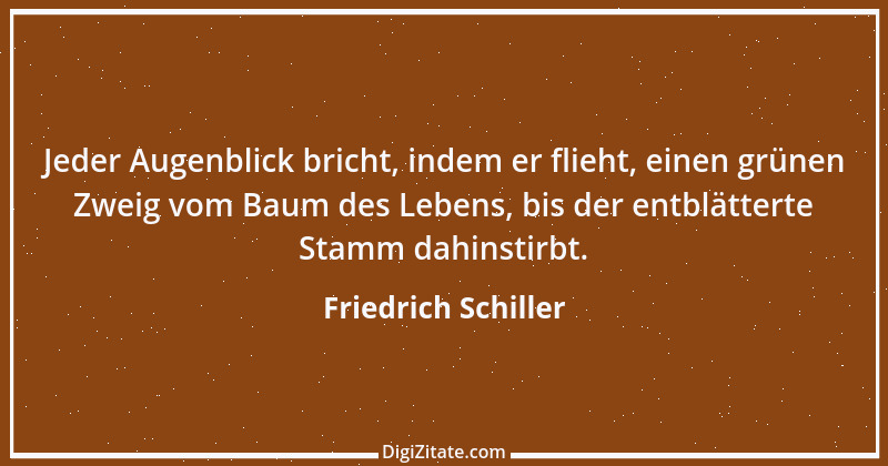 Zitat von Friedrich Schiller 187