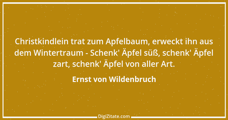 Zitat von Ernst von Wildenbruch 9