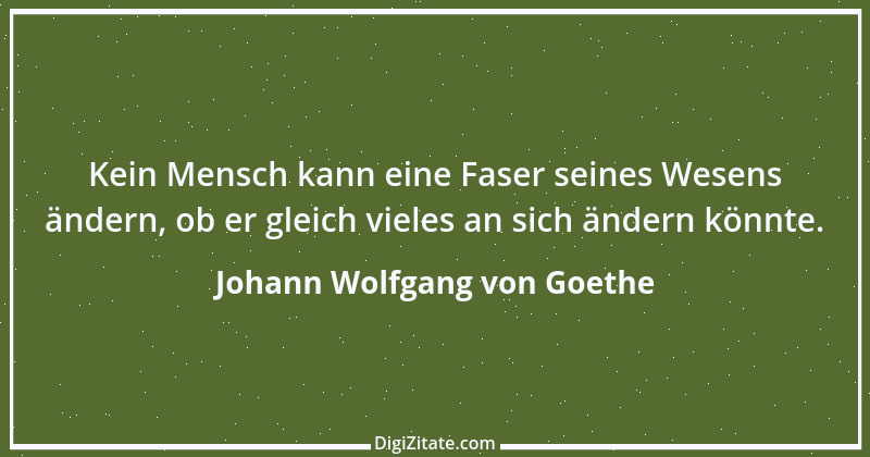 Zitat von Johann Wolfgang von Goethe 3672