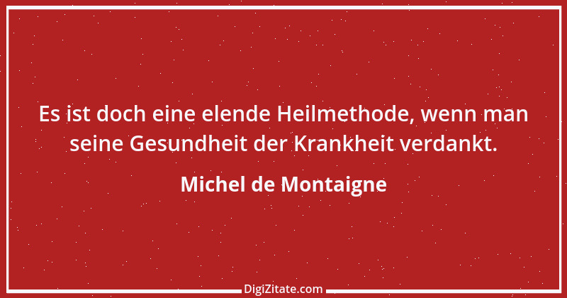 Zitat von Michel de Montaigne 361