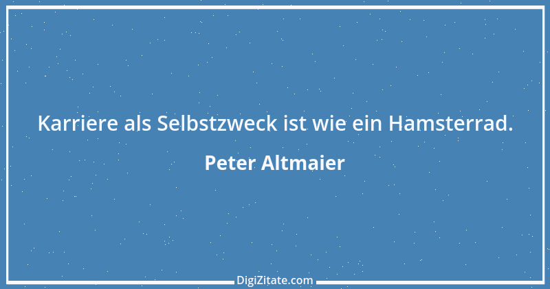 Zitat von Peter Altmaier 3