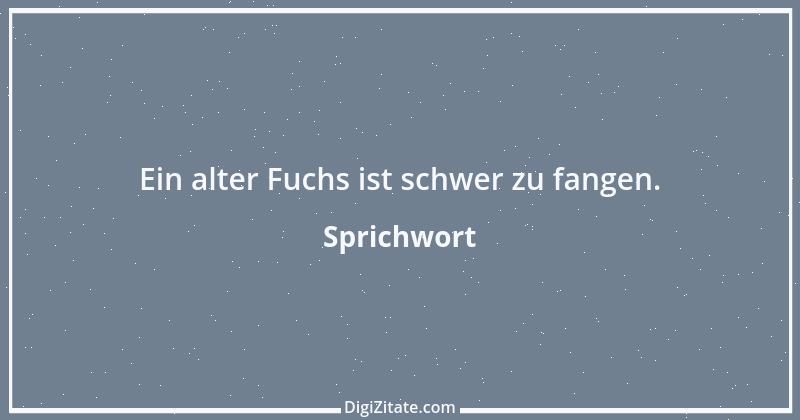 Zitat von Sprichwort 10813