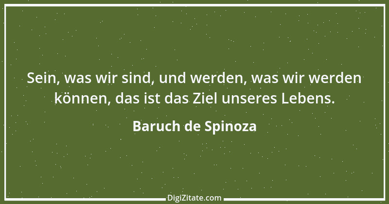 Zitat von Baruch de Spinoza 45