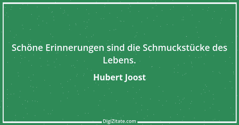 Zitat von Hubert Joost 230