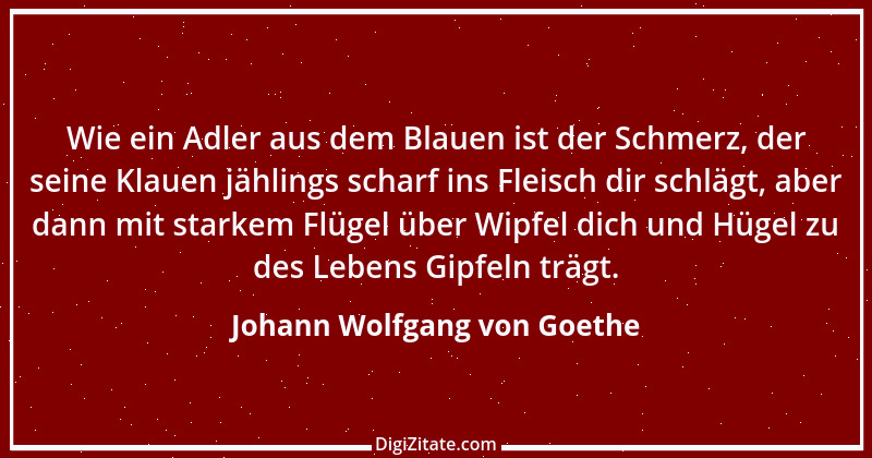 Zitat von Johann Wolfgang von Goethe 2676