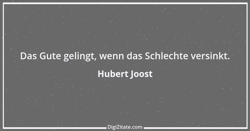 Zitat von Hubert Joost 231