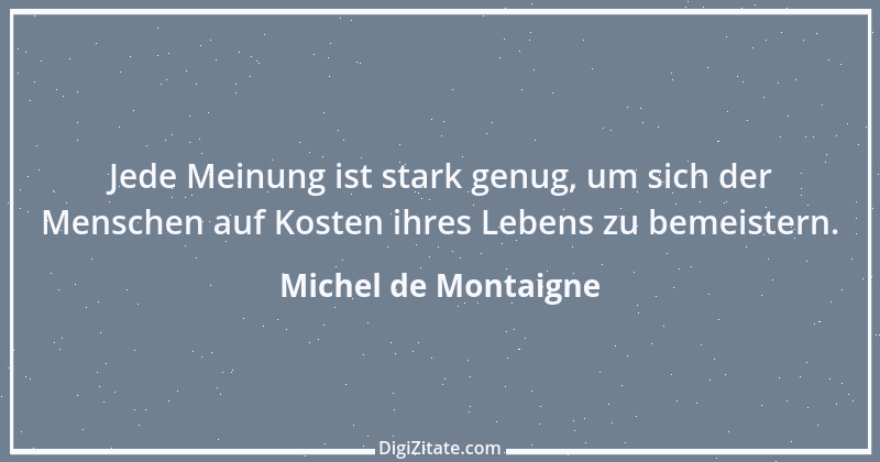 Zitat von Michel de Montaigne 365