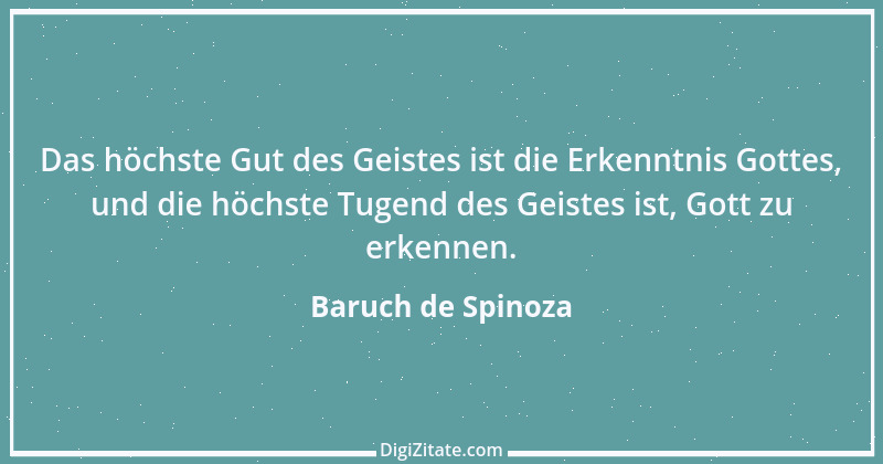 Zitat von Baruch de Spinoza 48