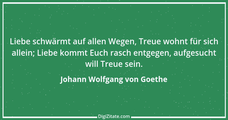 Zitat von Johann Wolfgang von Goethe 2679