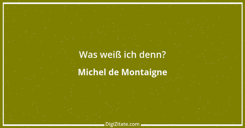 Zitat von Michel de Montaigne 369