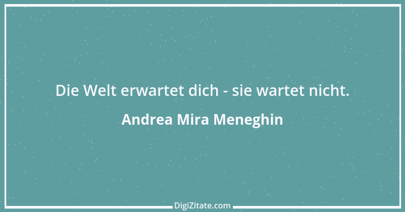 Zitat von Andrea Mira Meneghin 272