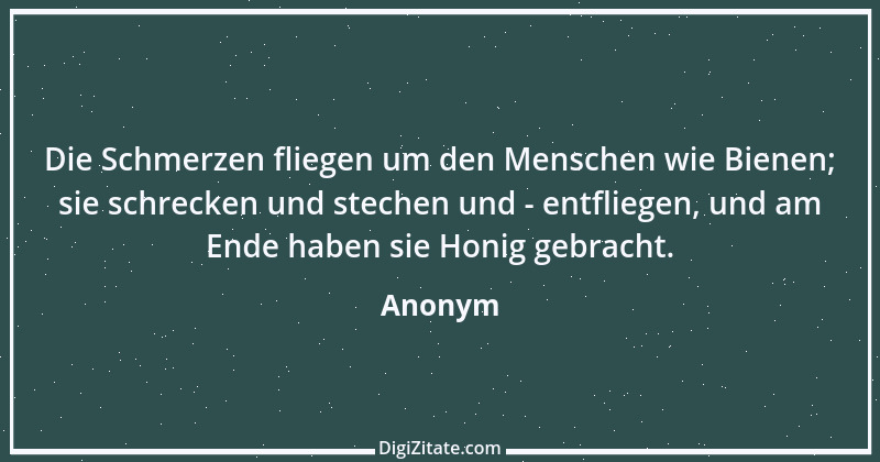 Zitat von Anonym 7651