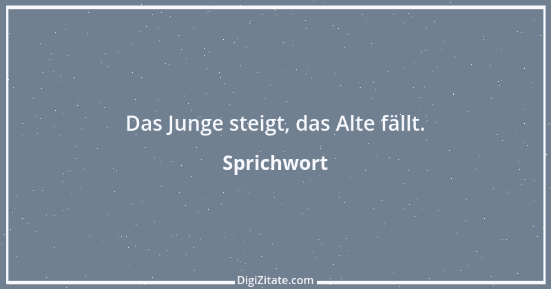 Zitat von Sprichwort 12675