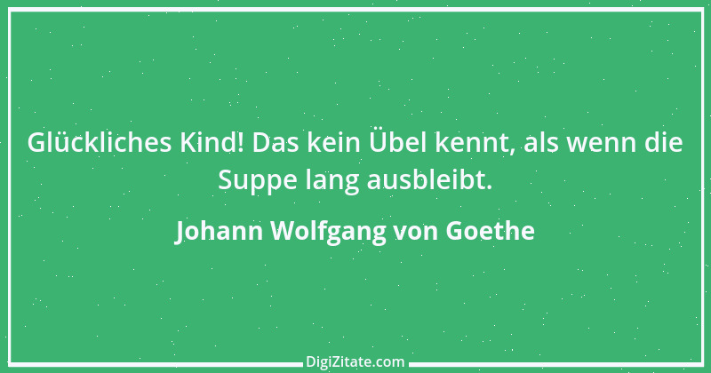 Zitat von Johann Wolfgang von Goethe 3684