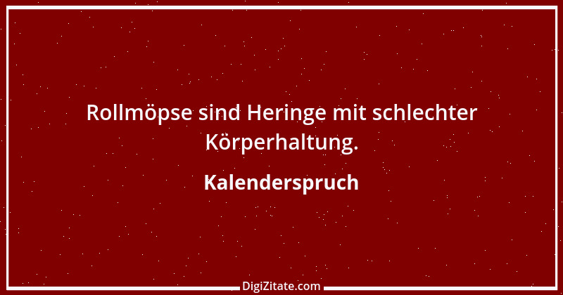 Zitat von Kalenderspruch 100