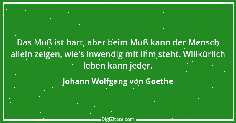 Zitat von Johann Wolfgang von Goethe 3687