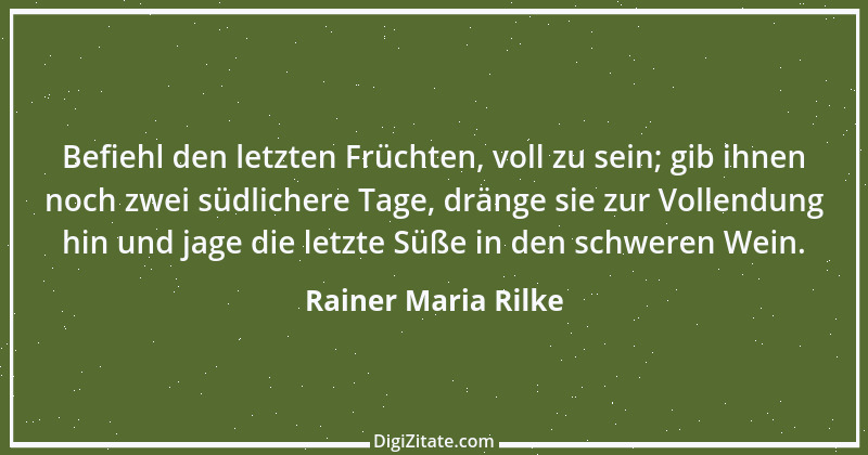 Zitat von Rainer Maria Rilke 232