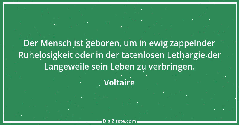 Zitat von Voltaire 333