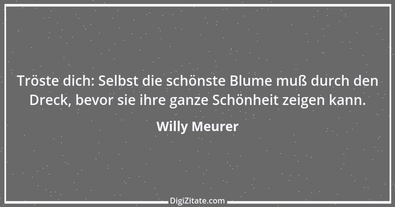 Zitat von Willy Meurer 991