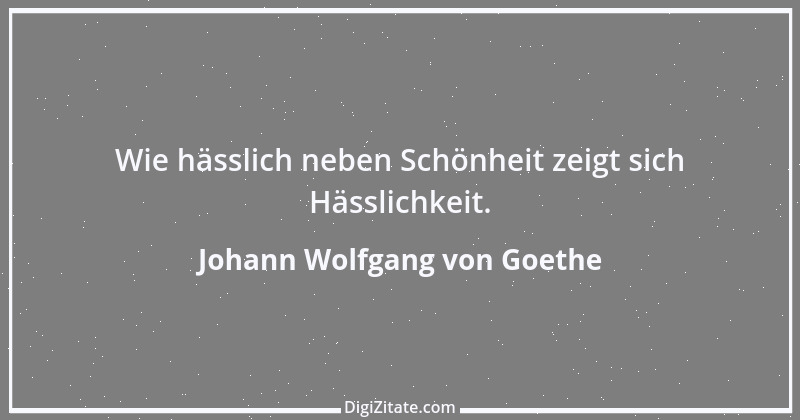 Zitat von Johann Wolfgang von Goethe 3691