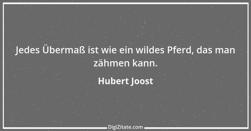 Zitat von Hubert Joost 246