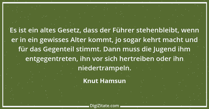 Zitat von Knut Hamsun 3