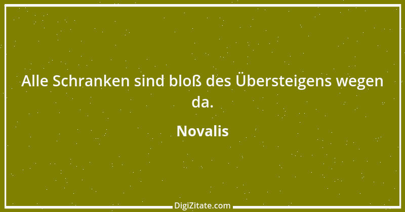 Zitat von Novalis 17