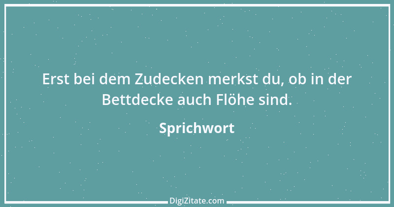 Zitat von Sprichwort 9687