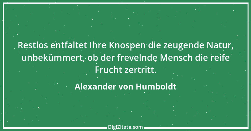 Zitat von Alexander von Humboldt 21