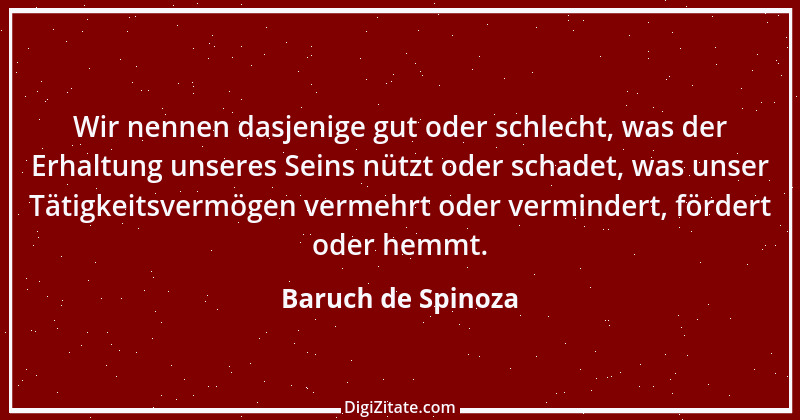 Zitat von Baruch de Spinoza 65