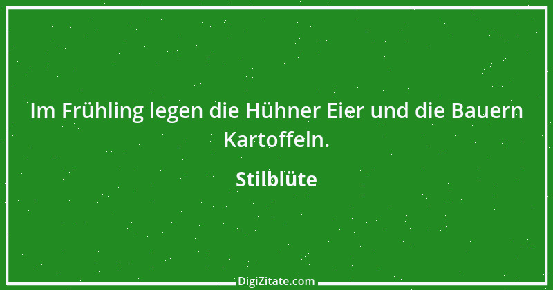 Zitat von Stilblüte 39