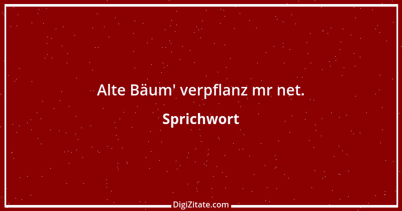 Zitat von Sprichwort 11689