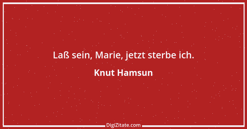 Zitat von Knut Hamsun 8