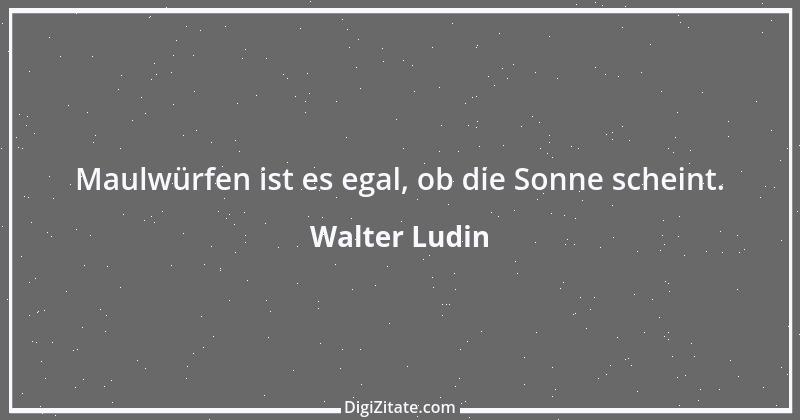 Zitat von Walter Ludin 1200