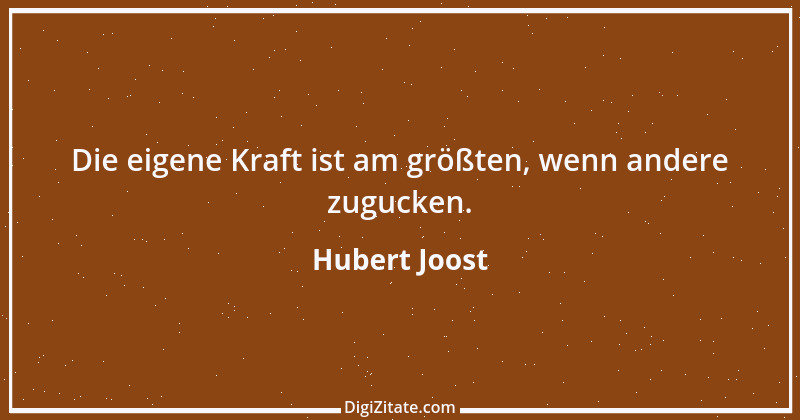 Zitat von Hubert Joost 254