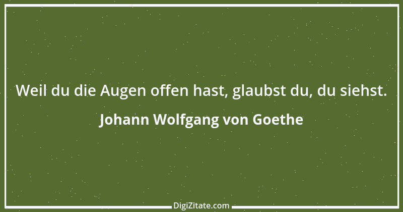 Zitat von Johann Wolfgang von Goethe 700