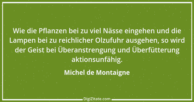 Zitat von Michel de Montaigne 389