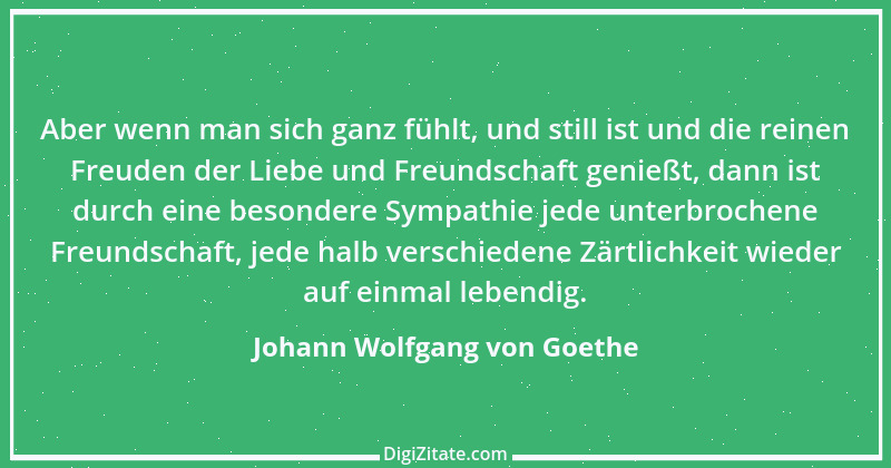 Zitat von Johann Wolfgang von Goethe 1703