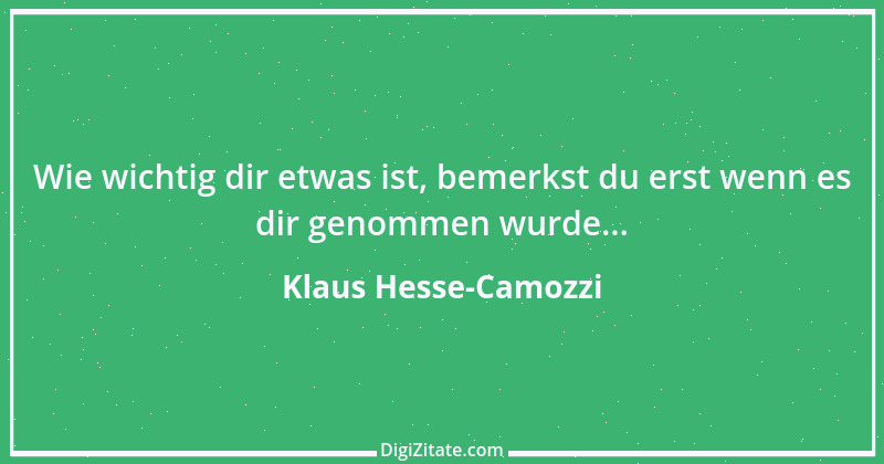 Zitat von Klaus Hesse-Camozzi 2