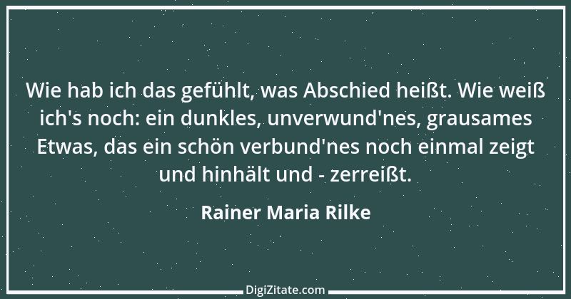 Zitat von Rainer Maria Rilke 249