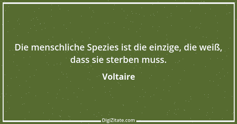 Zitat von Voltaire 349