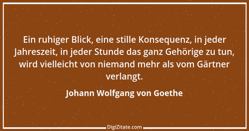 Zitat von Johann Wolfgang von Goethe 2705