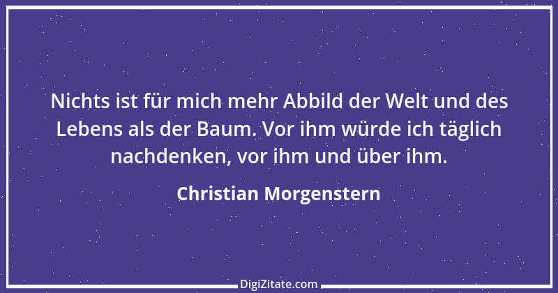 Zitat von Christian Morgenstern 347